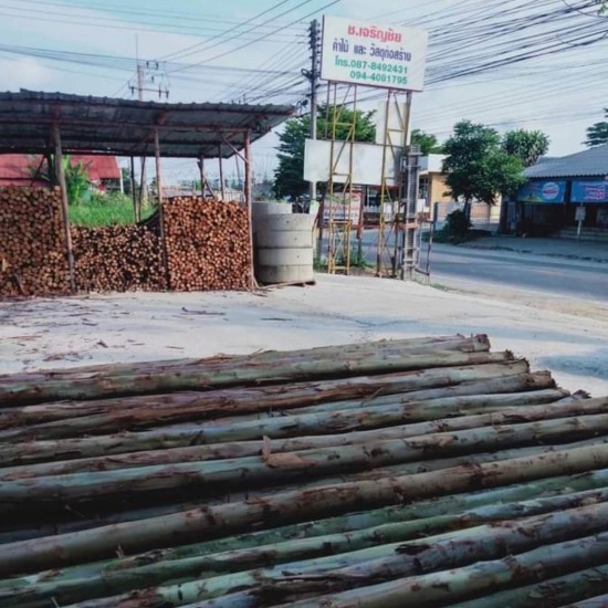 ไม้ยูคา ไม้แบบก่อสร้าง ชลบุรี - ขายไม้ยูคา ราคาถูก