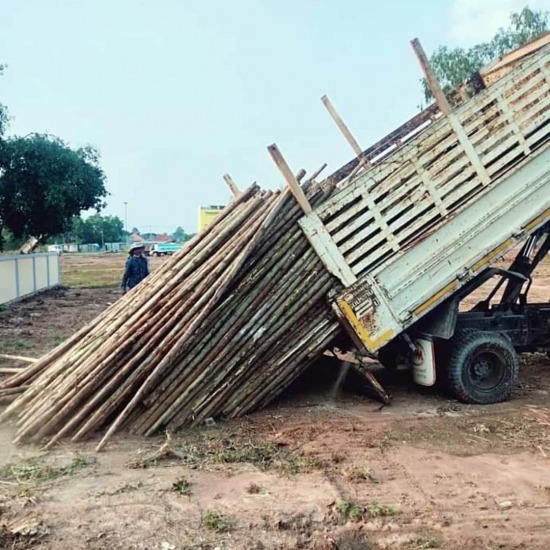 ไม้ยูคา ไม้แบบก่อสร้าง ชลบุรี - ขายส่งไม้ยูคา ชลบุรี